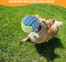 Load image into Gallery viewer, 15PCS Tough Puppy Dog Toys Bundle