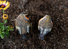 Load image into Gallery viewer, 2 x Robins Bird Set Garden Ornaments