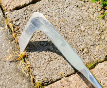 Load image into Gallery viewer, Extendable Telescopic Patio Weed Remover Scraper