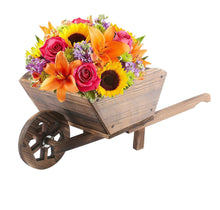 Load image into Gallery viewer, Wheelbarrow Garden Planter