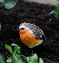 Load image into Gallery viewer, 2 x Robins Bird Set Garden Ornaments