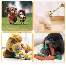 Load image into Gallery viewer, 15PCS Tough Puppy Dog Toys Bundle