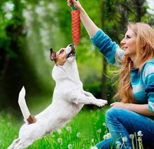 Load image into Gallery viewer, 15PCS Tough Puppy Dog Toys Bundle