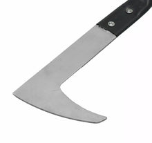 Load image into Gallery viewer, Extendable Telescopic Patio Weed Remover Scraper