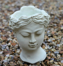 Load image into Gallery viewer, Garden Ornament Plant Pot Planter Outdoor or Indoor