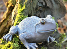 Load image into Gallery viewer, 2 x  Frogs Garden Ornaments Bronze Effect