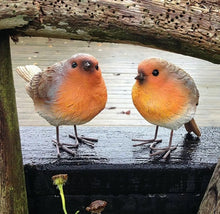 Load image into Gallery viewer, 2 x Robins Bird Set Garden Ornaments