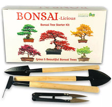 Load image into Gallery viewer, Bonsai Tree Kit Grow 6 Of Your Own Bonsai Trees from Seeds