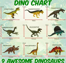 Load image into Gallery viewer, Realistic Dinosaur Toys Figures Playset