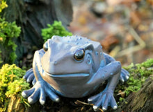 Load image into Gallery viewer, 2 x  Frogs Garden Ornaments Bronze Effect