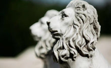 Load image into Gallery viewer, 2 x Lions Garden Ornaments Stone Effect Statues