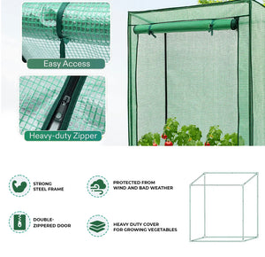 Mini Greenhouse, Tomato Plant Grow