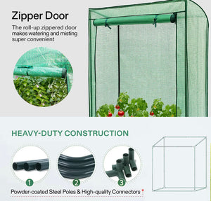 Mini Greenhouse, Tomato Plant Grow