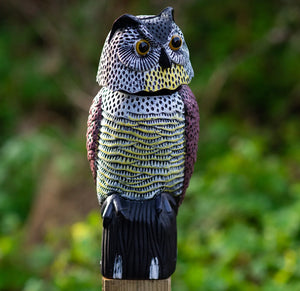Realistic Bird Pigeon Scarecrow • Owl Decoy With Rotating Head