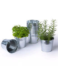 Load image into Gallery viewer, 12 x Metal Herb Plant Flower Pots