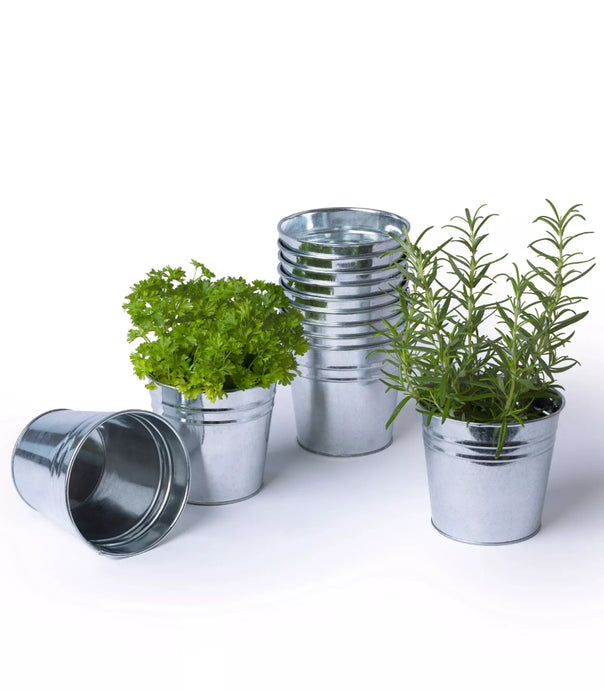 12 x Metal Herb Plant Flower Pots