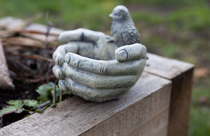 Hands Bird Feeder Bird on Hands Bath or Feeder