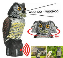 Load image into Gallery viewer, Realistic Bird Pigeon Scarecrow • Owl Decoy With Rotating Head