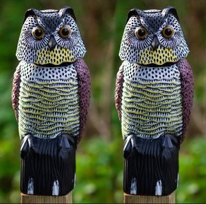 Realistic Bird Pigeon Scarecrow • Owl Decoy With Rotating Head