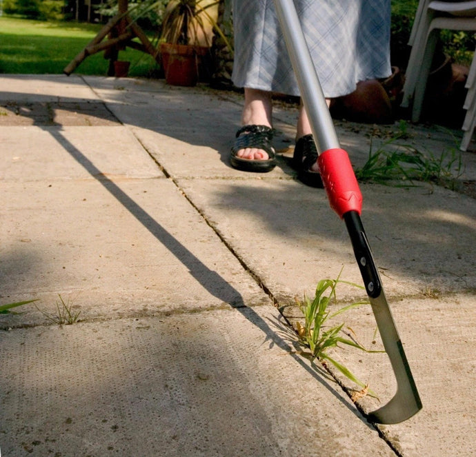 Extendable Telescopic Patio Weed Remover Scraper