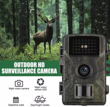 Load image into Gallery viewer, Outdoor Wildlife Security Camera 1080P Night Vision