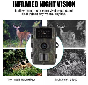 Outdoor Wildlife Security Camera 1080P Night Vision