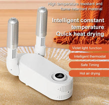 Load image into Gallery viewer, Portable Electric Shoes Boot Footwear Fast Dryer