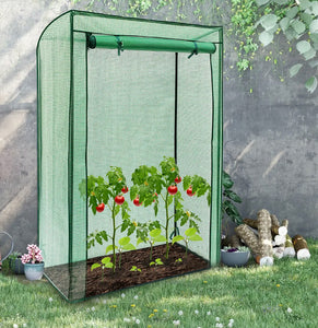 Mini Greenhouse, Tomato Plant Grow