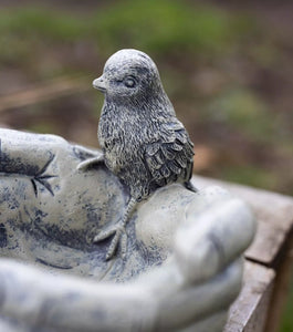 Hands Bird Feeder Bird on Hands Bath or Feeder