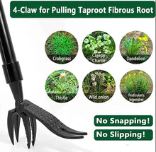Load image into Gallery viewer, Weed Puller Steel Claw Weed Remover