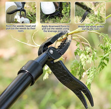 Load image into Gallery viewer, Weed Puller Steel Claw Weed Remover Weeding Tool