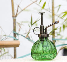 Load image into Gallery viewer, 2 x Vintage Style Plant Mister Glass Misting Bottles • Sprayer for Plants &amp; Flowers