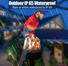 Load image into Gallery viewer, Solar Powered Outdoor Garden LED Parrot Light Up Ornament