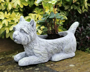 Garden Ornament Plant Pot Planter Westie Dog Outdoor Indoor
