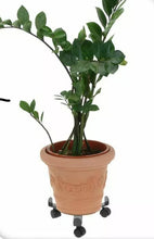 Load image into Gallery viewer, Extendable Plant Caddy Stand on Wheels Trolley Large Heavy Duty Plant Pot Holder