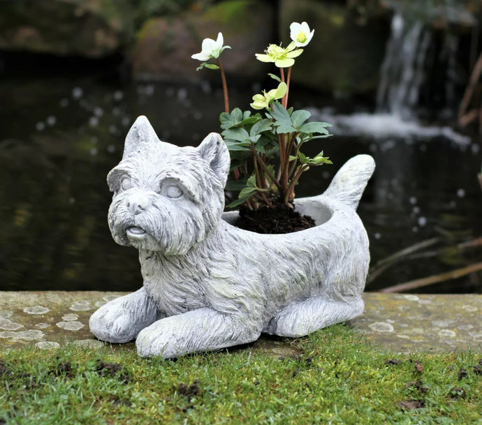 Garden Ornament Plant Pot Planter Westie Dog Outdoor Indoor