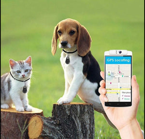 iTAG Tracker• Finder • For pets, keys, wallets etc
