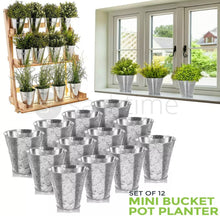 Load image into Gallery viewer, 12 x Metal Herb Plant Flower Pots