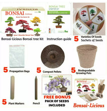 Load image into Gallery viewer, BONSAI TREE KIT. Grow 6 OF Your OWN Bonsai Trees from Seeds WITH BONSAI TOOL KIT