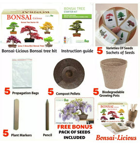 BONSAI TREE KIT. Grow 6 OF Your OWN Bonsai Trees from Seeds WITH BONSAI TOOL KIT