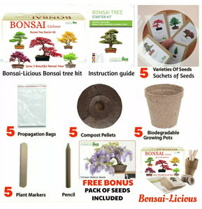 bonsai tree starter kit instructions Bonsai Tree Kit Grow 6 Bonsai Trees from Seeds – valu 2u