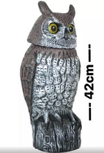 Load image into Gallery viewer, Realistic Owl Decoy Large With Rotating Head Bird Pigeon Crow Scarer Scarecrow