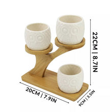 Load image into Gallery viewer, Owl Ceramic Pots &amp; Bamboo Stand