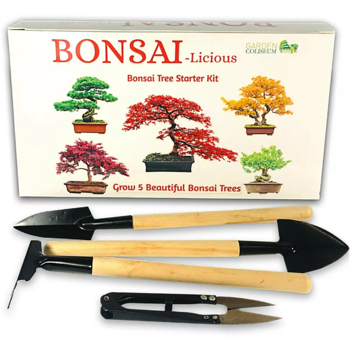 BONSAI TREE KIT. Grow 6 OF Your OWN Bonsai Trees from Seeds WITH BONSAI TOOL KIT