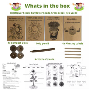 Grow Your Own Seeds Kit for Kids