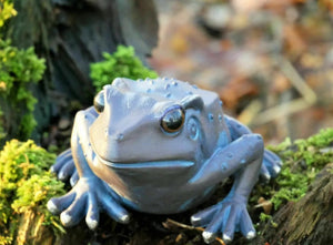 2 x  Frogs Garden Ornaments Bronze Effect