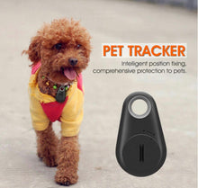 Load image into Gallery viewer, GPS Tracker• Finder • For pets, keys, wallets etc