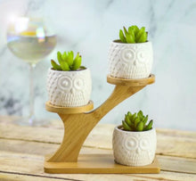 Load image into Gallery viewer, Owl Ceramic Pots &amp; Bamboo Stand