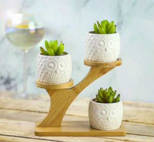 Owl Ceramic Pots & Bamboo Stand