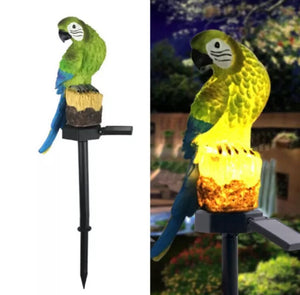Solar Powered Outdoor Garden LED Parrot Light Up Ornament